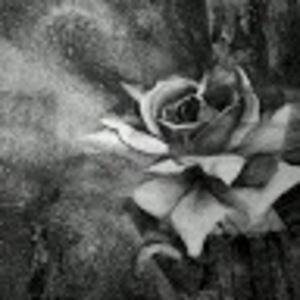 Meet your Posher, Me